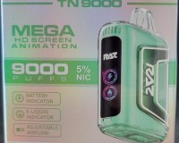 Raz TN 9000 Miami Mint